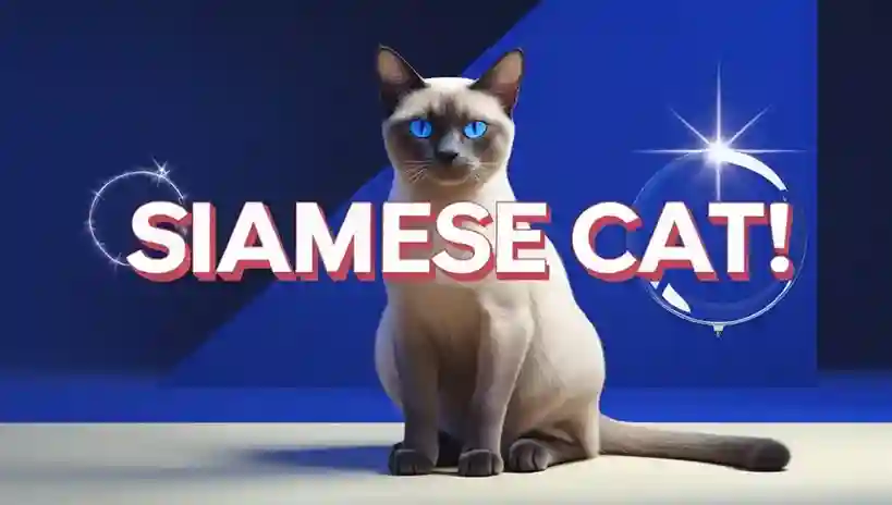 Siamese Cats: Secrets & Surprising Facts 2 Siamese cat