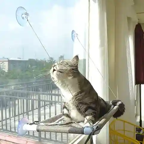 The Ultimate Cat Window Perch Guide 4 PEFUNY Cat Window Perch
