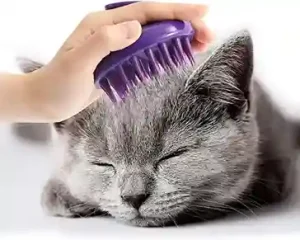 Soft Cat Brush 
