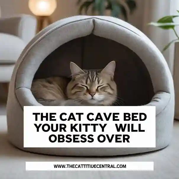 MEOWFIA Cat Cave Bed Review 4 Cat Cave Bed