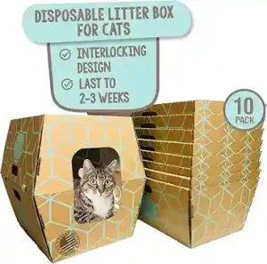 Top Disposable Cat Litter Boxes 2025 1 Disposable Cat Litter Box