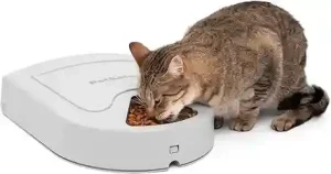 PetSafe 5-Meal Feeder2