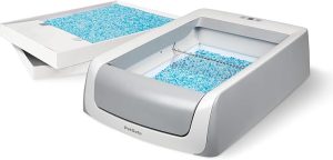 Why Is My Cat Peeing on My Bed? 1 PetSafe ScoopFree Self-Cleaning Cat Litter Box