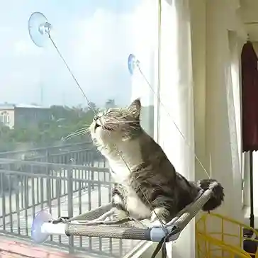 Window Cat Bed