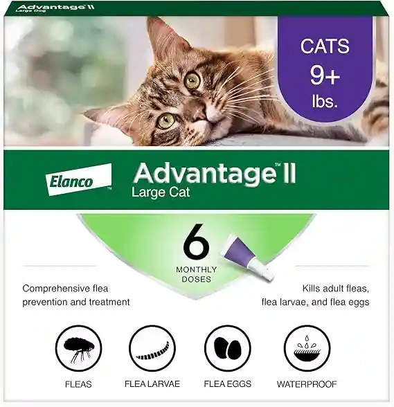 Advantage II Flea Treatment for Cats