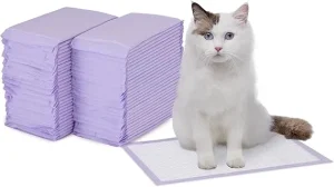 Amazon Basics Pee Pads for Cats 1 Amazon Basics Pee Pads