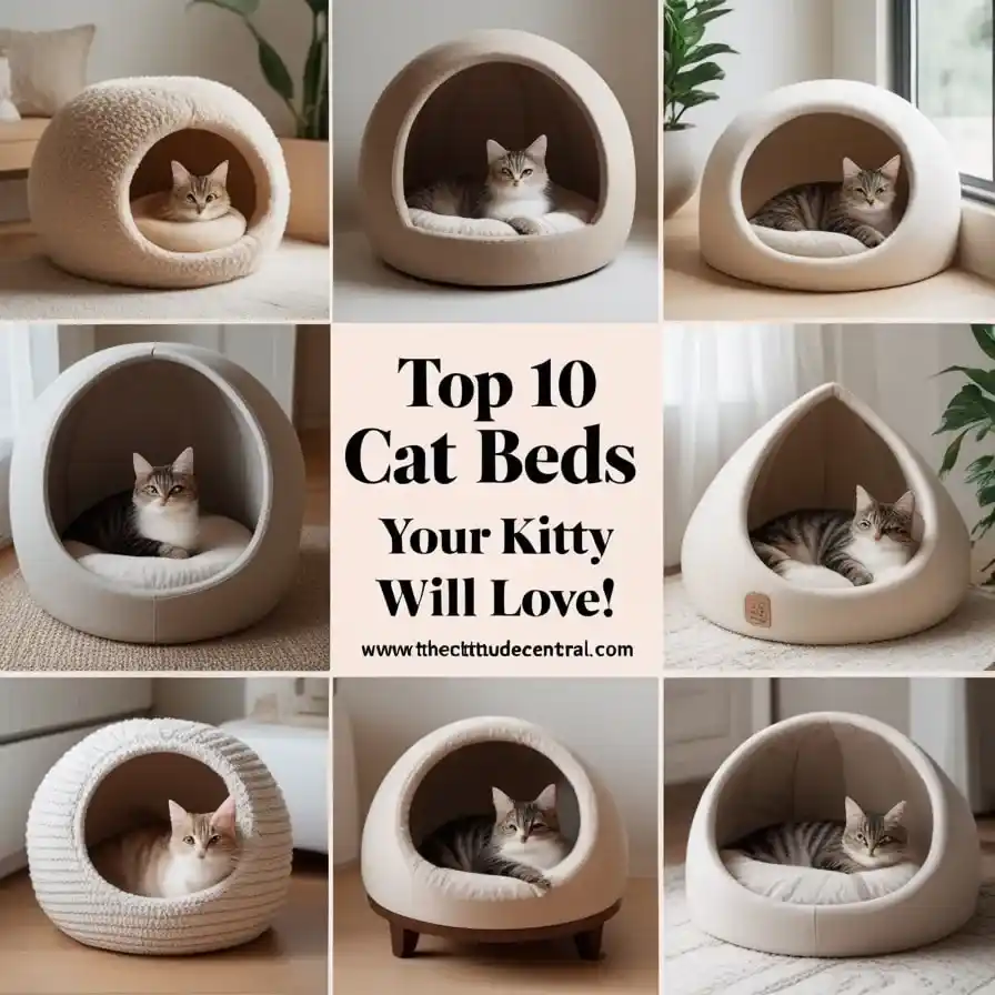 Top 10 Cat Beds for Cozy Feline 4 Cat Bed