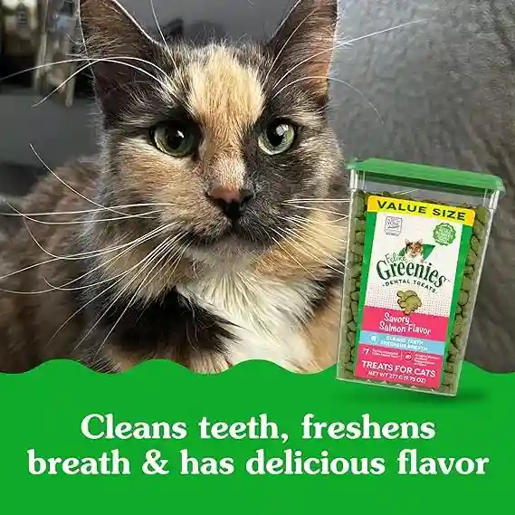 Greenies Dental Treats for Cats