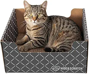 Top 10 Cat Beds for Cozy Feline 7 Hide Scratch Heavy Duty Cardboard Cat Scratcher Box and Bed