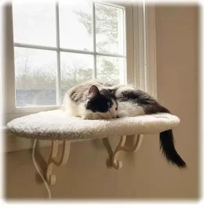 Top 10 Cat Beds for Cozy Feline 5 K&H Pet Products Deluxe Kitty Sill Window Perch