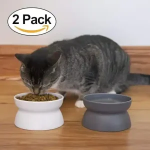 Kitty City Raised Cat Bowl Review 1 Kitty City Raised Cat Bowl4