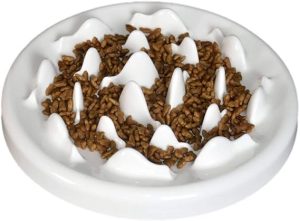 Lorde Slow Feeder Cat Bowl