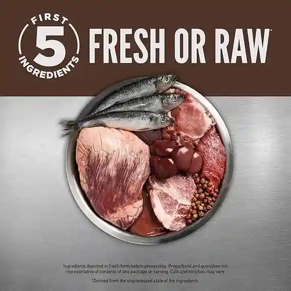 ORIJEN Regional Red Dry Cat Food 1 ORIJEN Regional Red Dry Cat Food