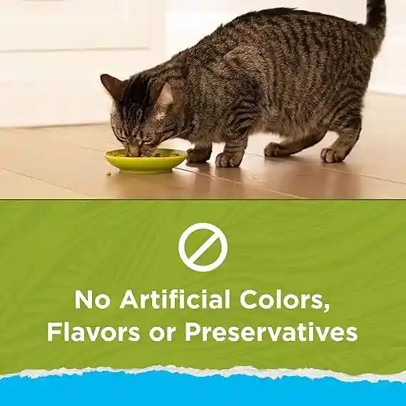 Purina Cat Chow Hairball