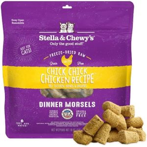 chewy cat food