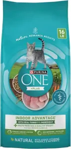 Purina ONE Cat Food: Top Picks 4 Purina ONE Indoor Dry Cat Food