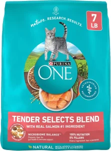 Purina ONE Cat Food: Top Picks 5 Purina ONE Salmon Dry Cat Food