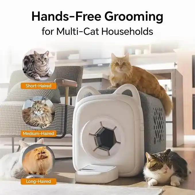 AutoComb Automatic Cat Self Groomer5