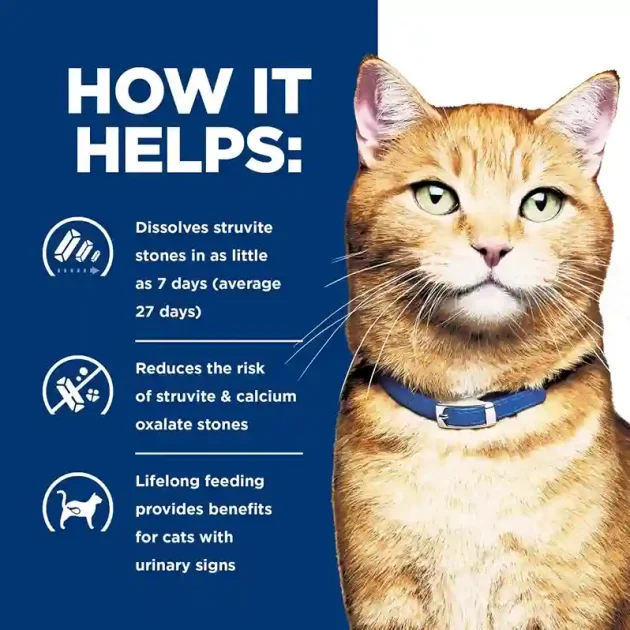 Best Urinary Care Food for Cats 1 Best Urinary Care Food for Cats2