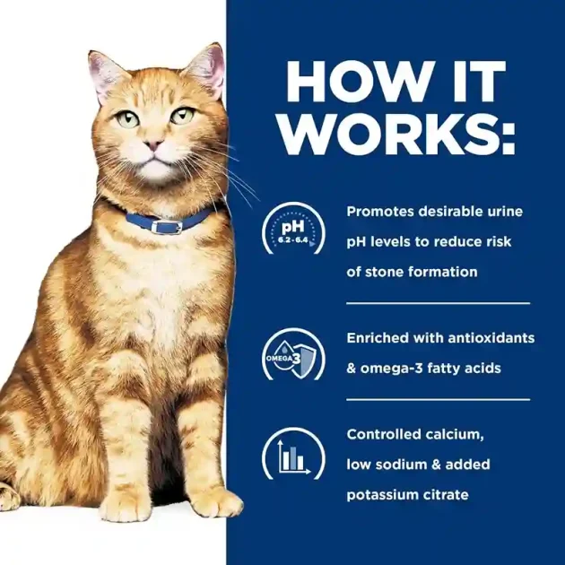 Best Urinary Care Food for Cats 2 Best Urinary Care Food for Cats3