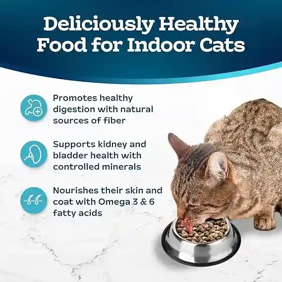 Blue Buffalo Tastefuls Natural Dry Food Review 2 Blue Buffalo Tastefuls Natural Dry Food3