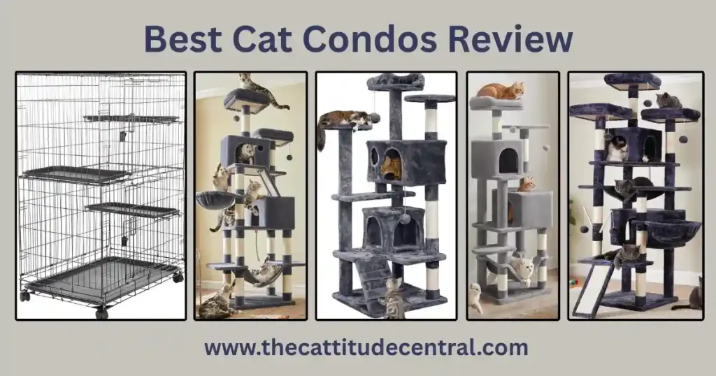 Best Cat Condos for Happy Felines 6 Cat Condo