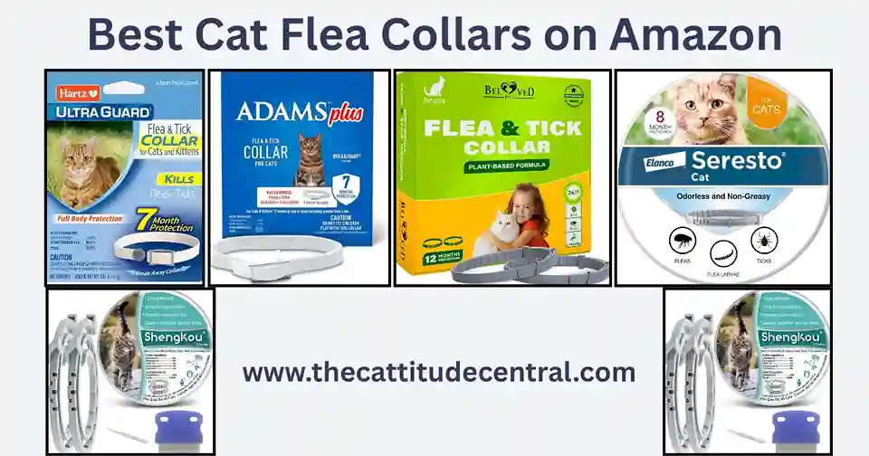 Cat Flea Collar