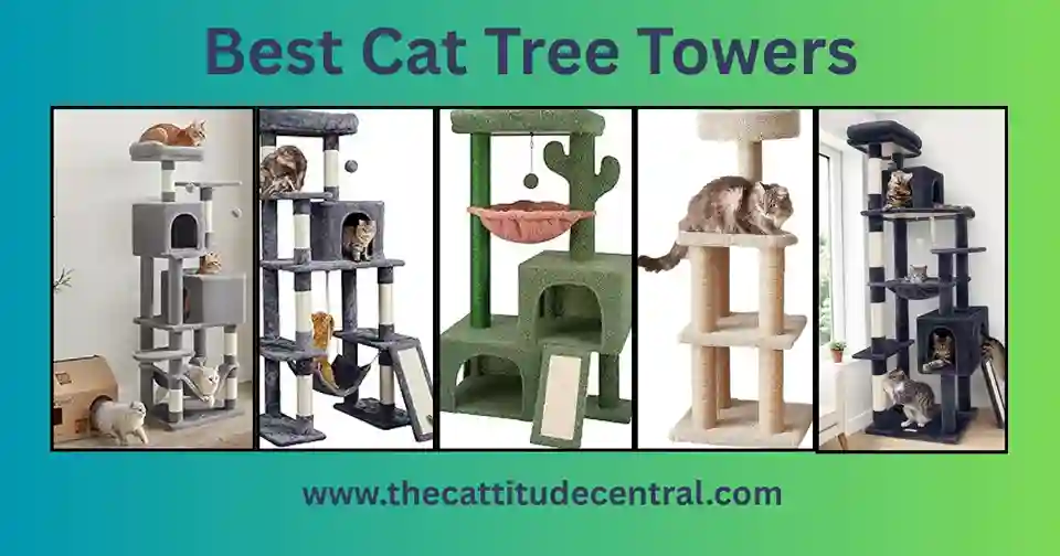 Top Cat Tree Towers: Ultimate Guide 3 Cat Tree Tower