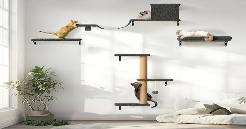 FUKUMARU Cat Wall Shelves Review 7 FUKUMARU Cat Wall Shelves
