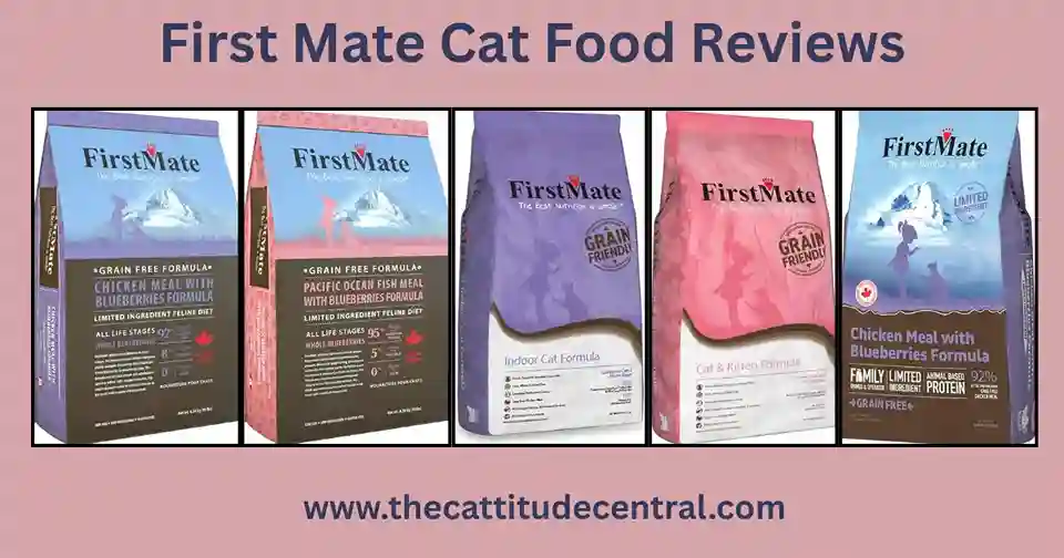 First Mate Cat Food
