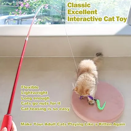MeoHui Interactive Cat Toys Review 1 MeoHui Interactive Cat Toys2