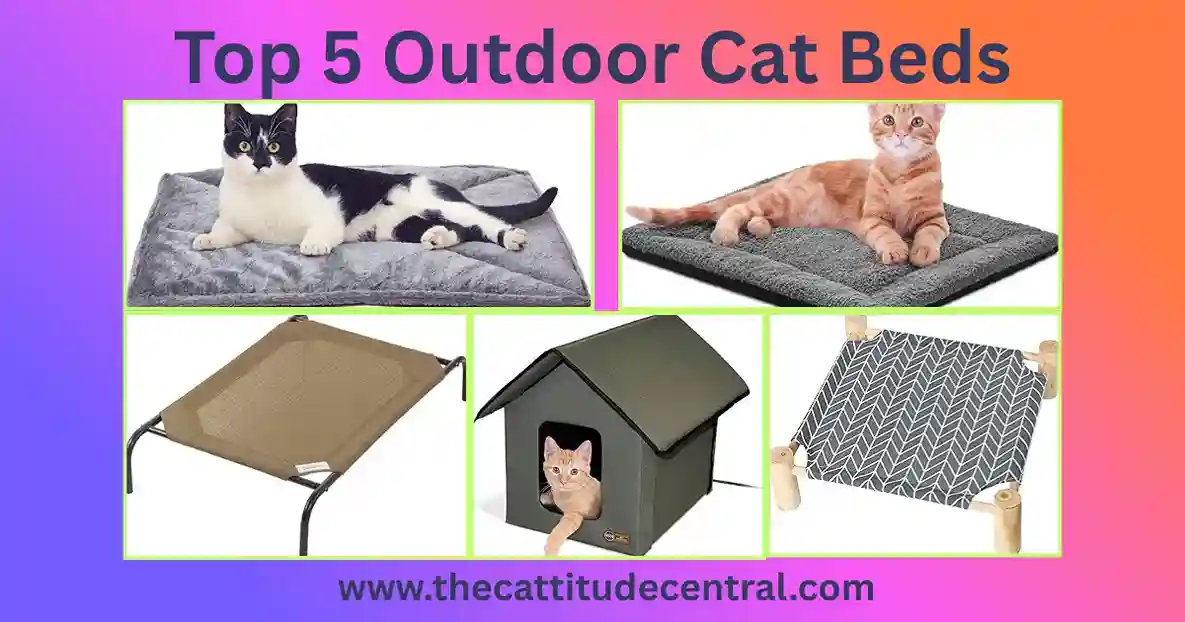 Outdoor Cat Bed