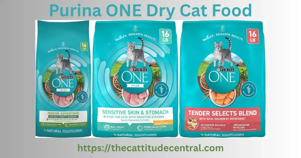 Purina ONE Dry Cat Food