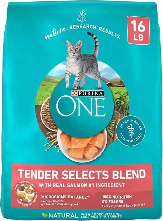 Top Purina ONE Dry Cat Picks 2025 1 Purina ONE Natural Dry Cat Food1