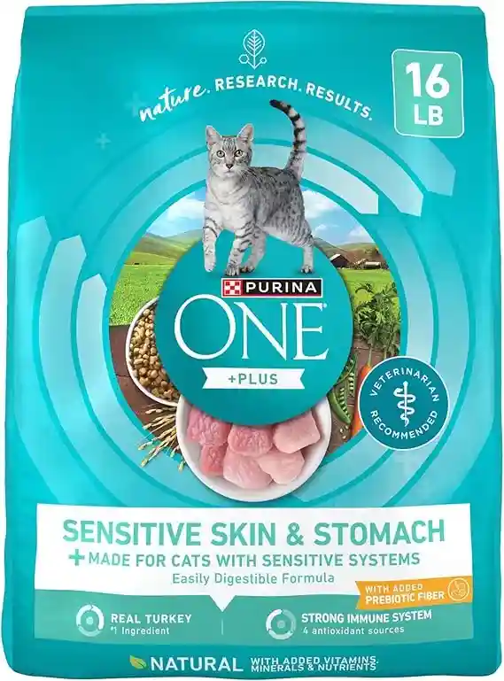 Top Purina ONE Dry Cat Picks 2025 3 Purina ONE Sensitive Stomach