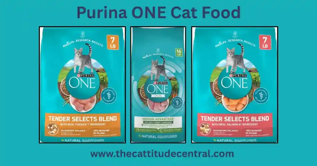 Purina ONE Cat Food