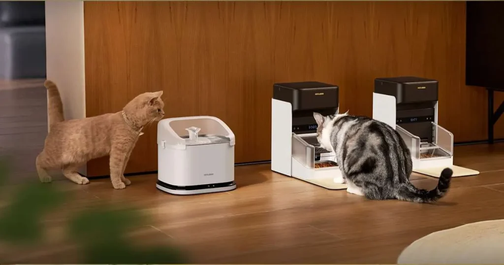 RFID Smart Dining Bundle for Cat