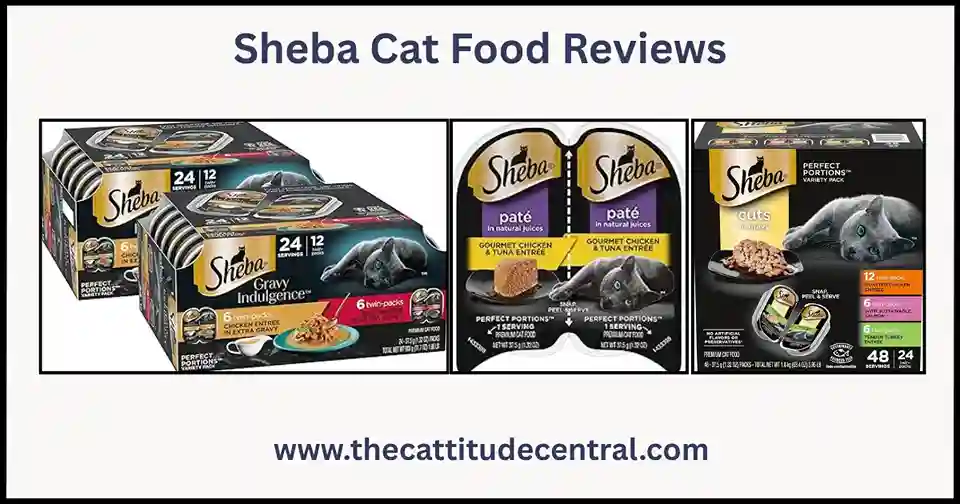 Best Sheba Cat Food for Picky Cats 1 Sheba Cat Food