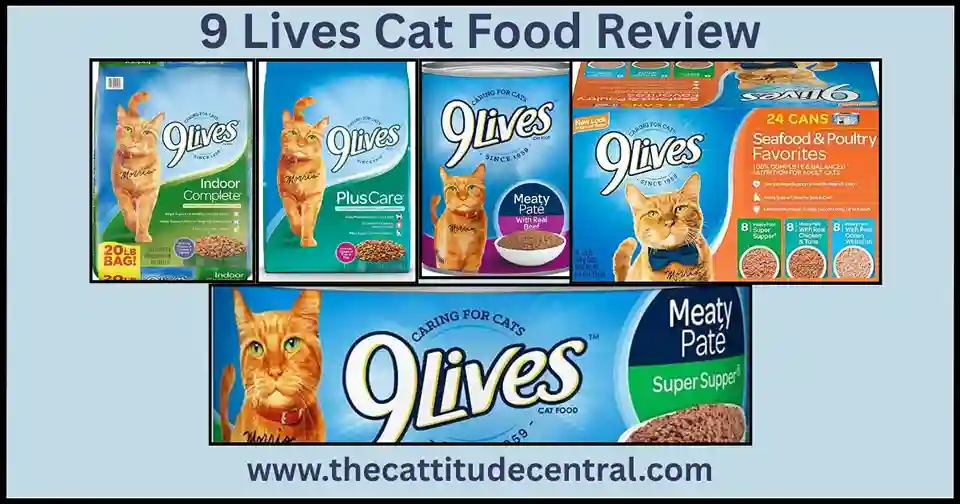 9 Lives Cat Food: Pros, Cons, & More 2 9 Lives Cat Food