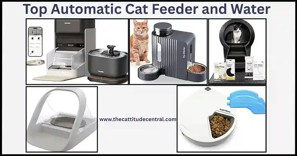 Automatic Cat Feeder and Water