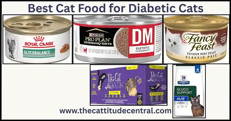 Best Cat Food for Diabetic Cats