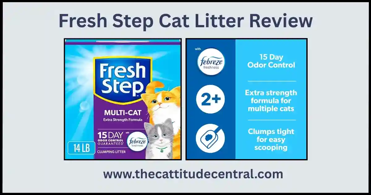 Fresh Step Cat Litter
