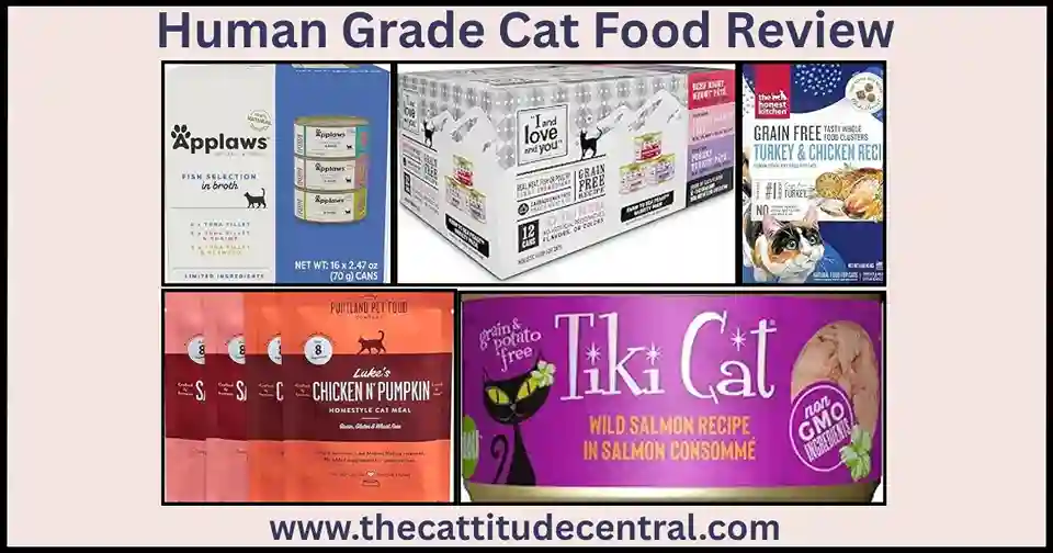 Human Grade Cat Food