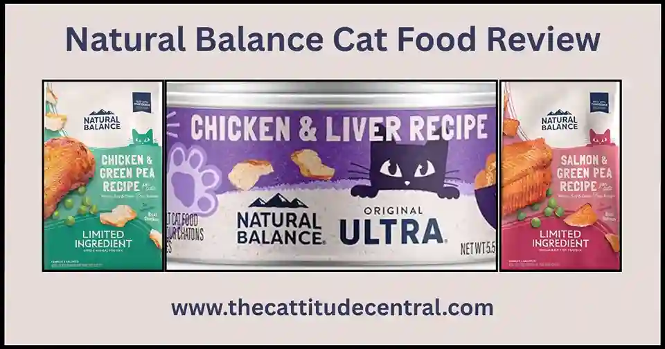 Natural Balance Cat Food