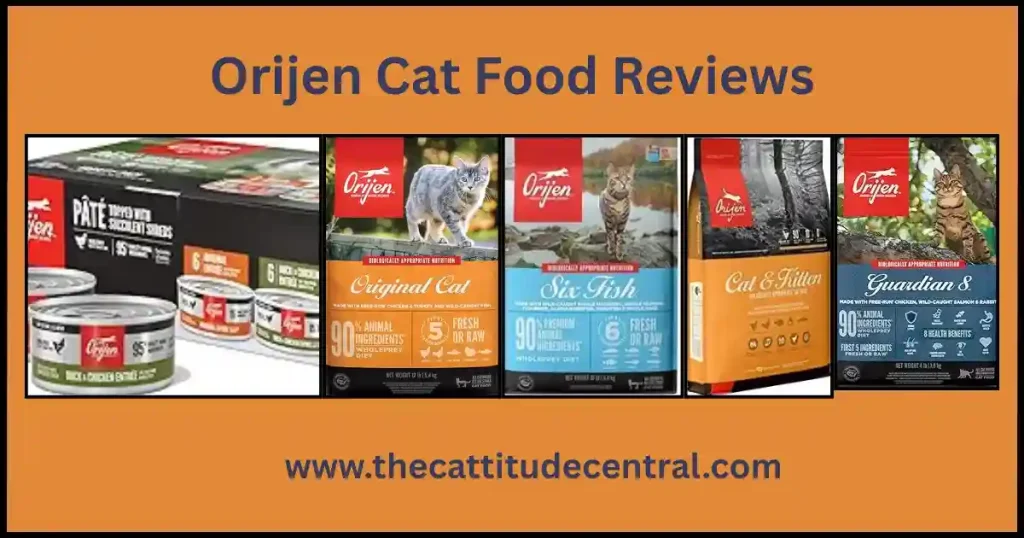 Best Orijen Cat Food Guide 2 Orijen Cat Food
