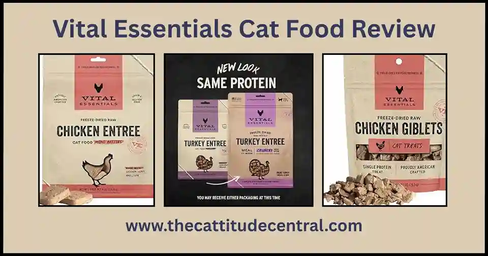 Vital Essentials Cat Food Review 2 Vital Essentials Cat Food