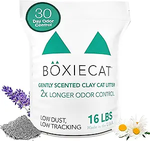 Best Dust Free Cat Litter of 2025: Expert-Tested Picks for a Healthier Home 3 Boxiecat Premium Clumping Clay Litter