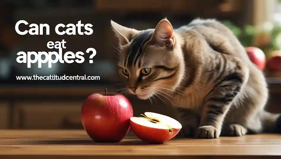 Can Cats Eat Apples? A Detailed Guide 1 Can Cats Eat Apples